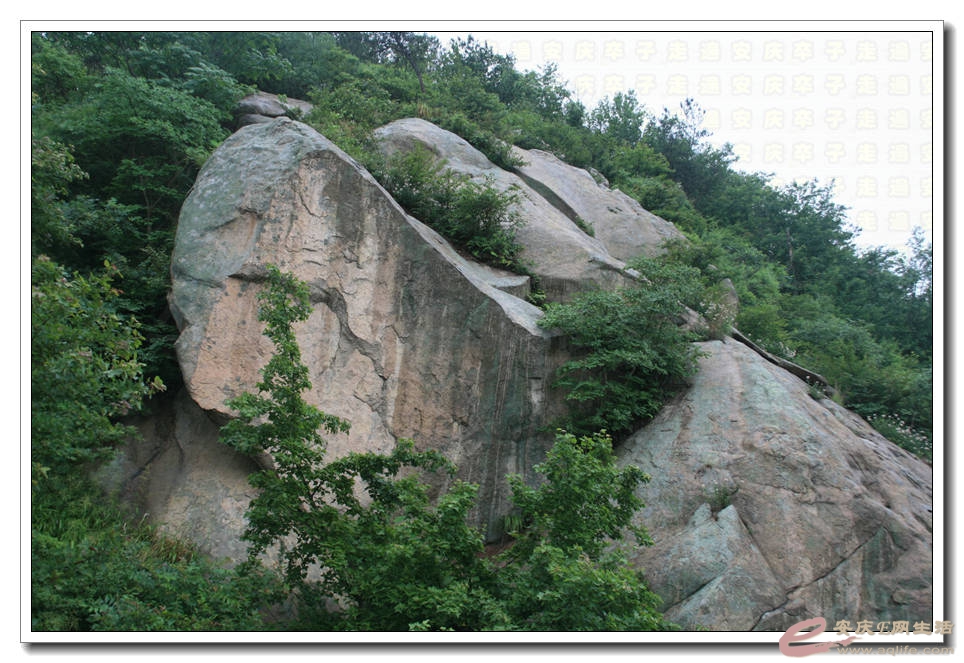 20150607 112.jpg