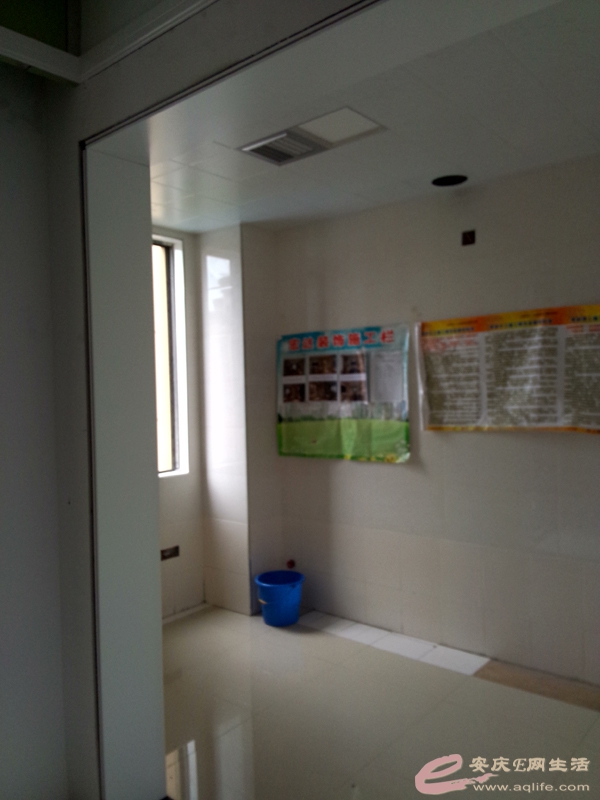 P50610-125825.jpg