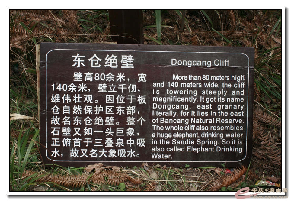 20150219 269.jpg
