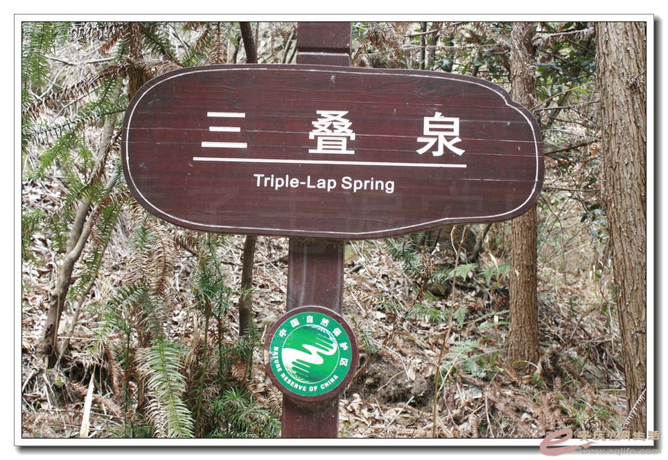 20150219 278.jpg