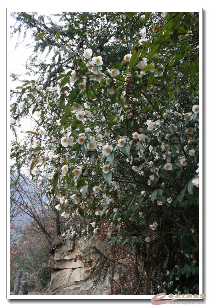 20150219 316.jpg