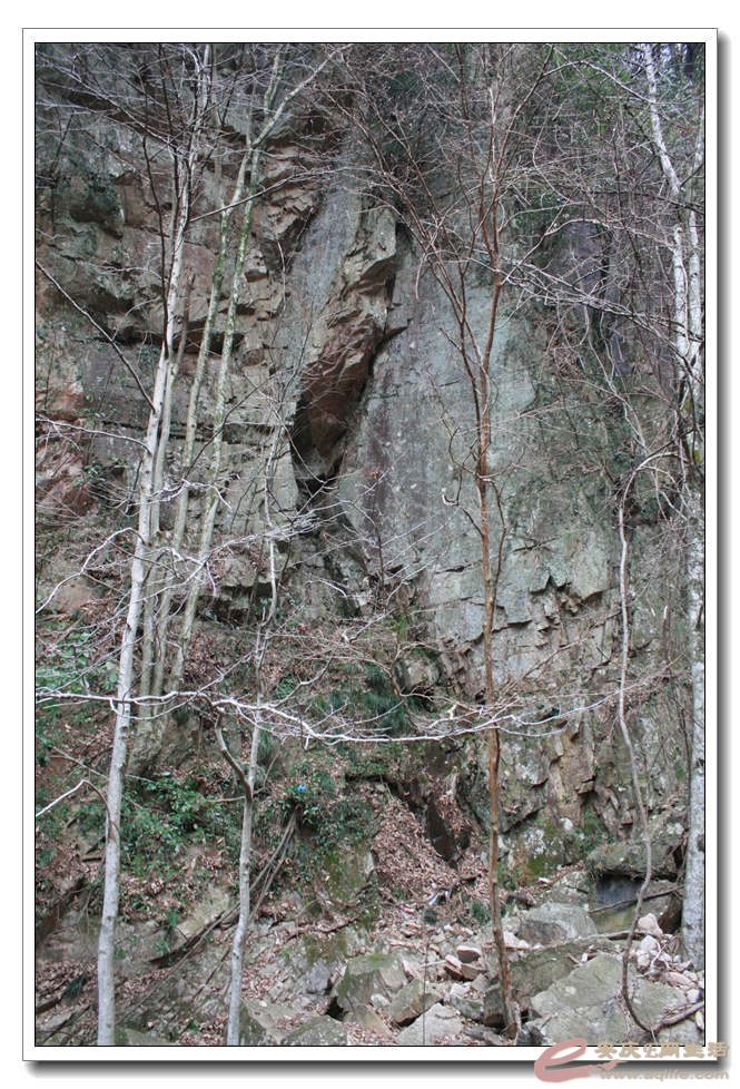 20150219 328.jpg
