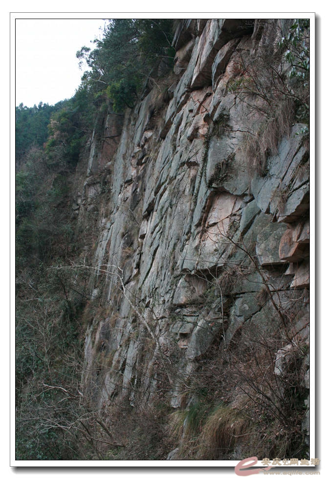 20150219 332.jpg
