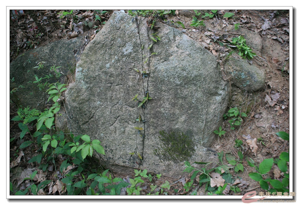 20150418 378.jpg