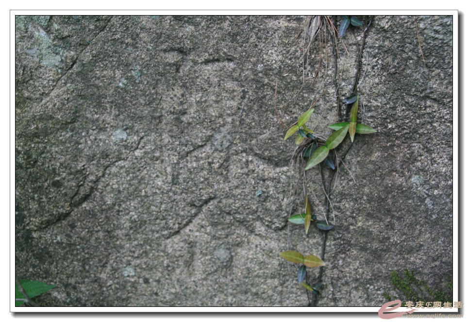 20150418 380.jpg