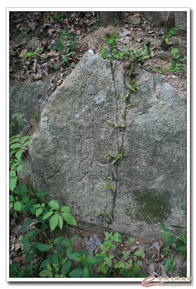 20150418 384.jpg