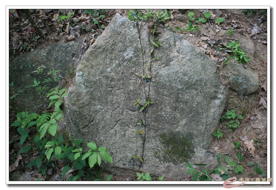 20150418 387.jpg
