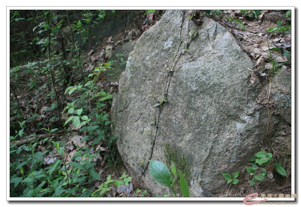 20150418 391.jpg