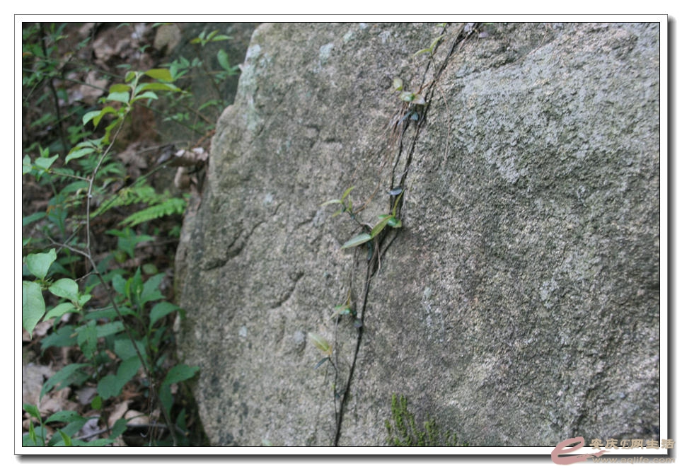 20150418 392.jpg