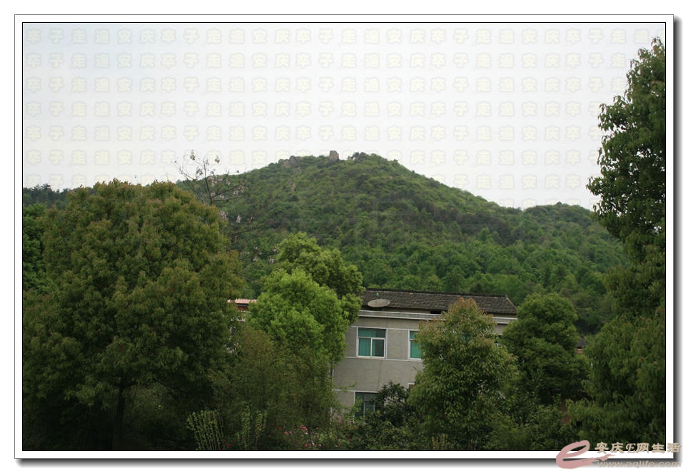 20150418 393.jpg