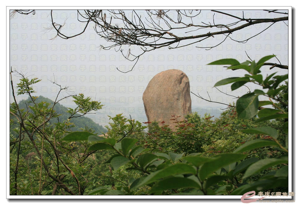 20150531 144.jpg