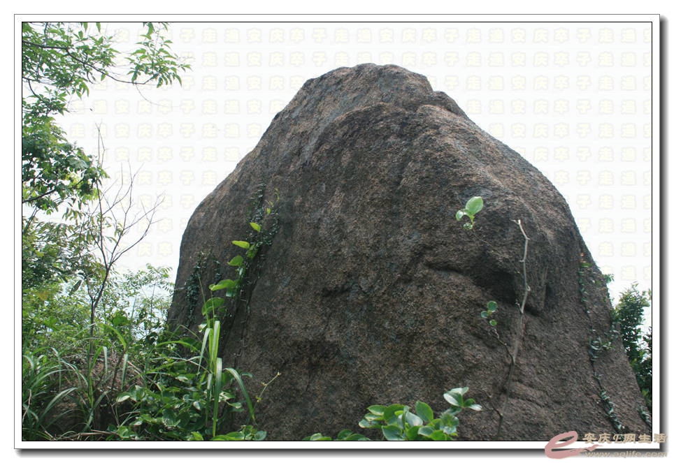 20150531 162.jpg