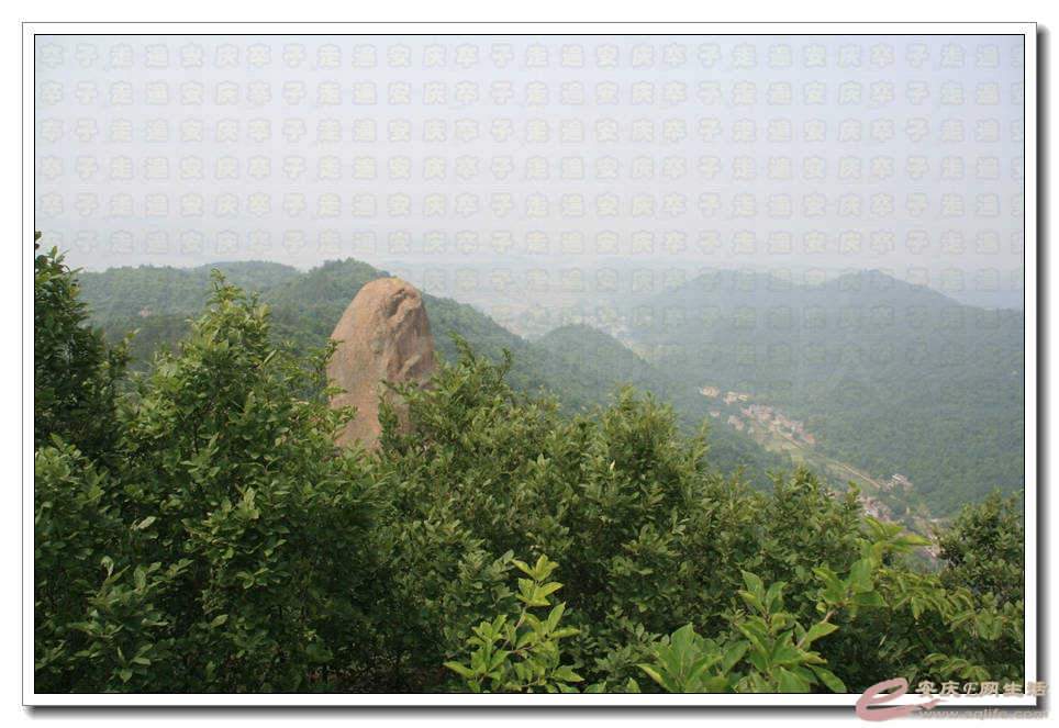 20150531 164.jpg