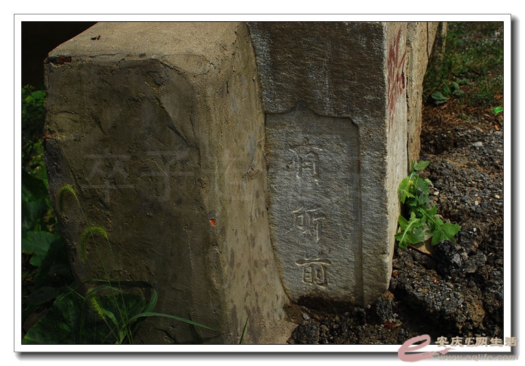 DSC_9932.jpg