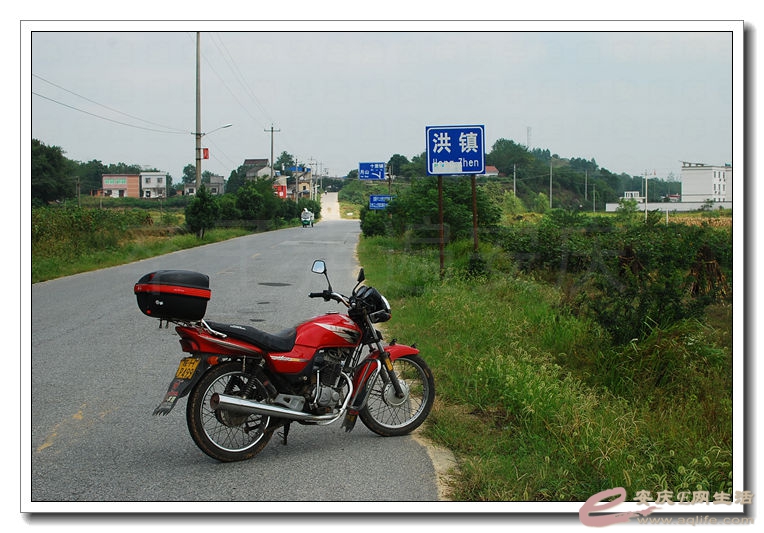 DSC_9940.jpg