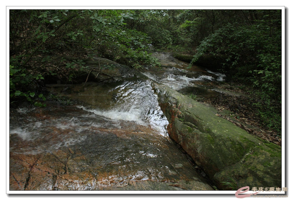 20150620 214.jpg