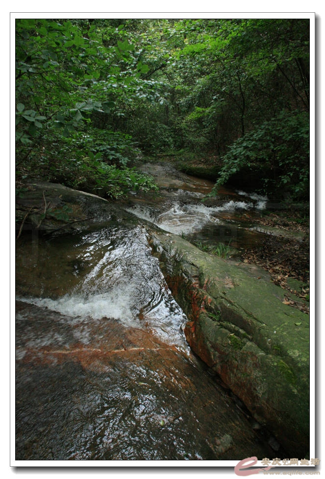 20150620 237.jpg