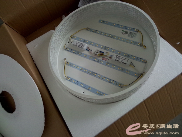 P50618-151136.jpg