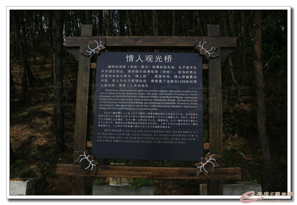 20150321 289.jpg