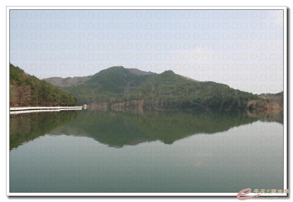 20150321 306.jpg