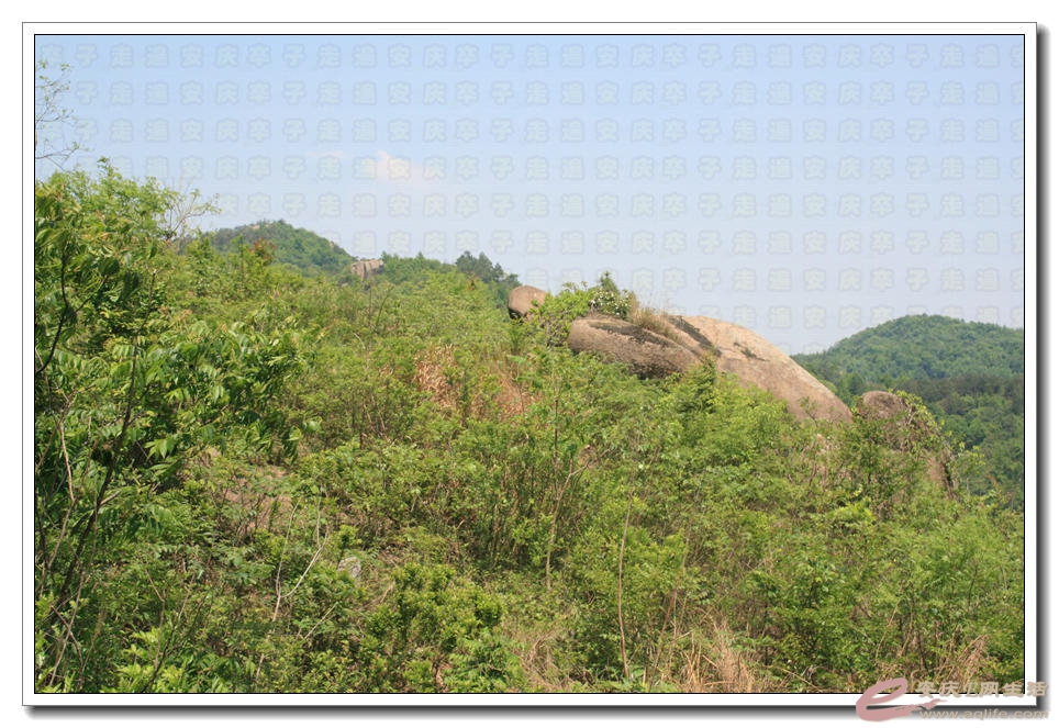 20150426 258.jpg