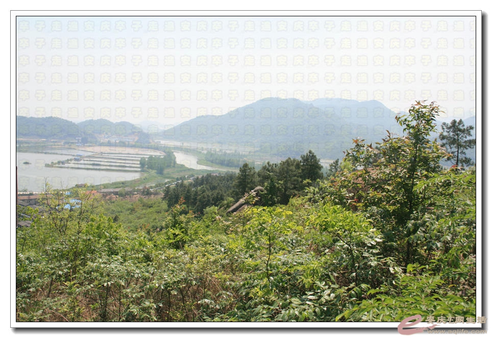 20150426 269.jpg