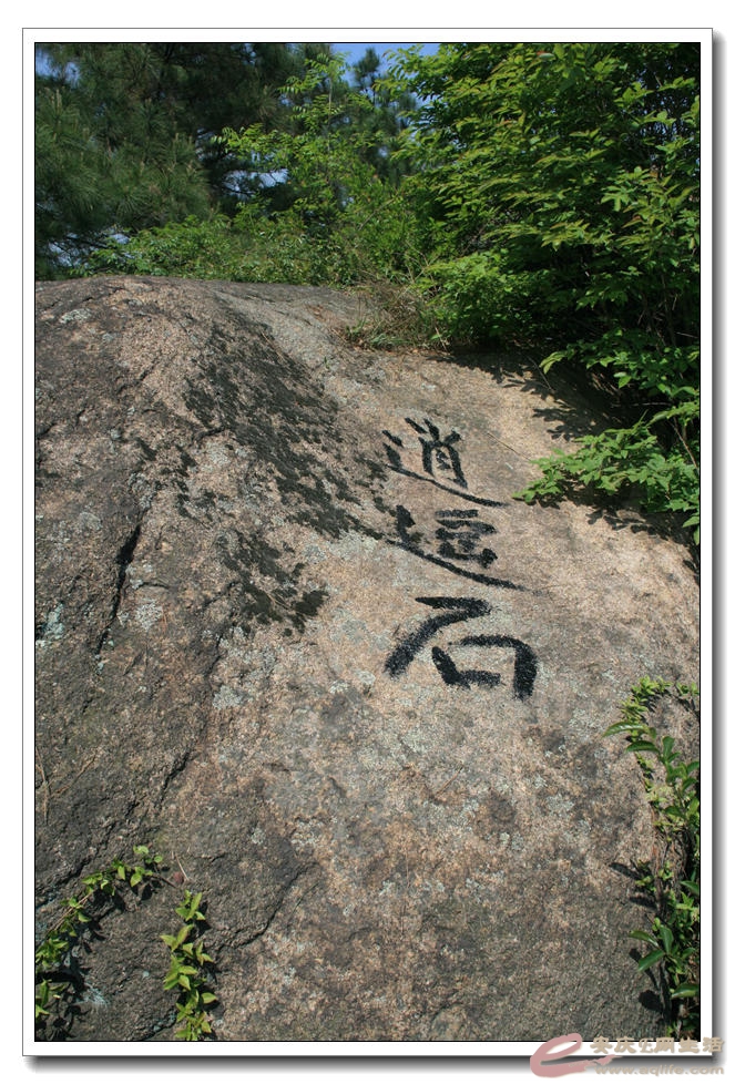 20150426 287.jpg
