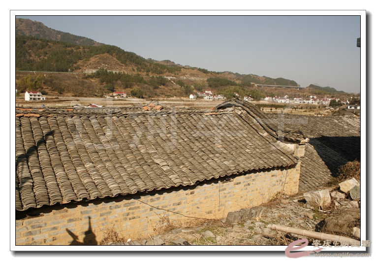 20131130 366.jpg
