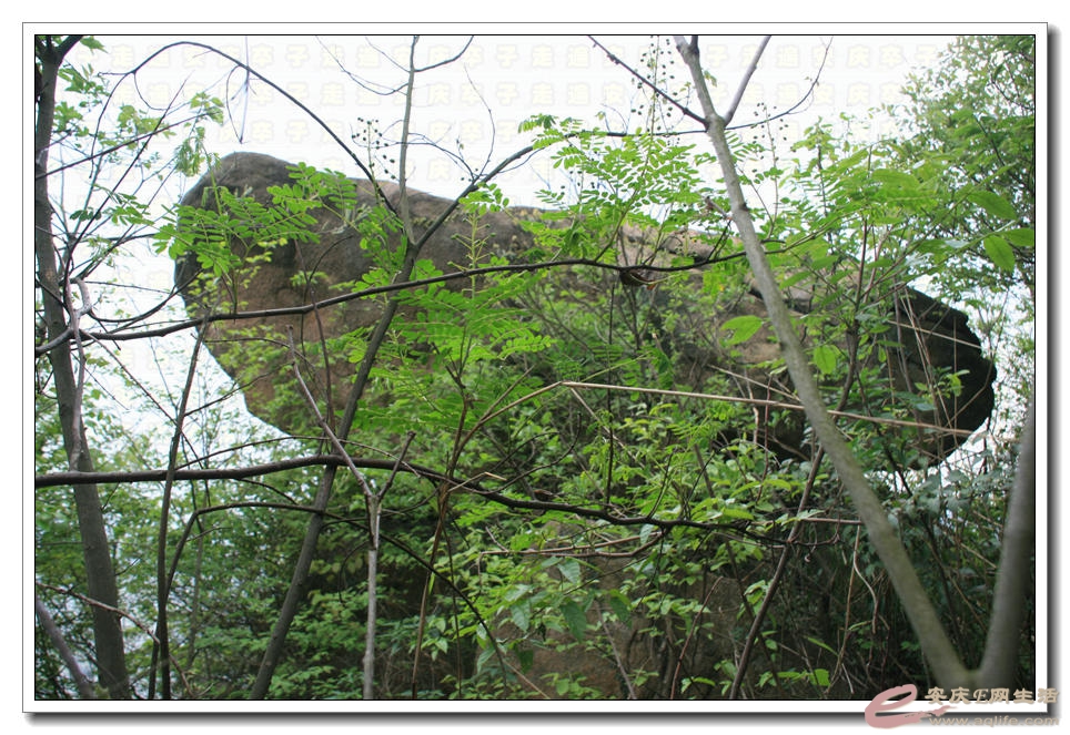 20150418 321.jpg