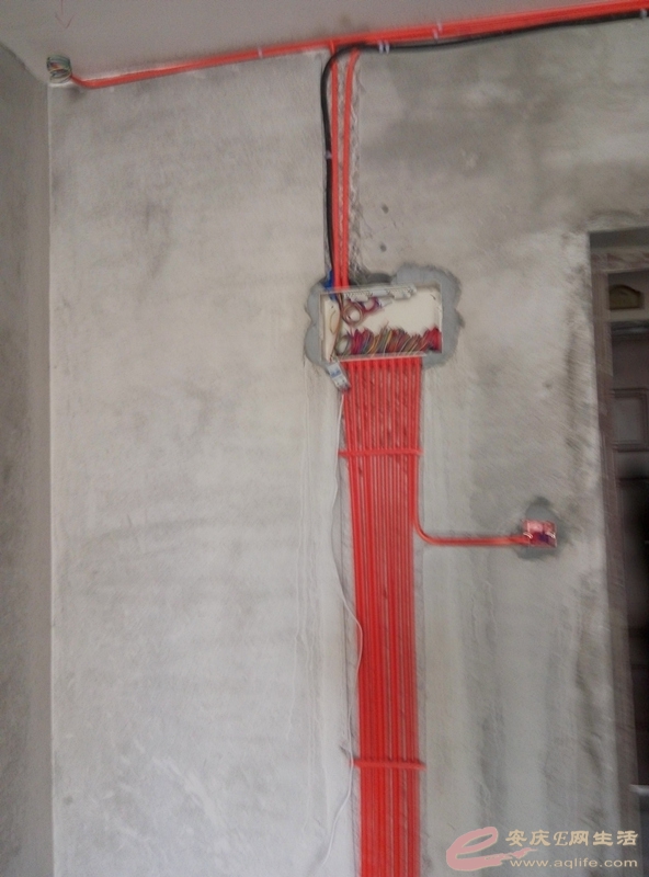 P50702-155428_.jpg