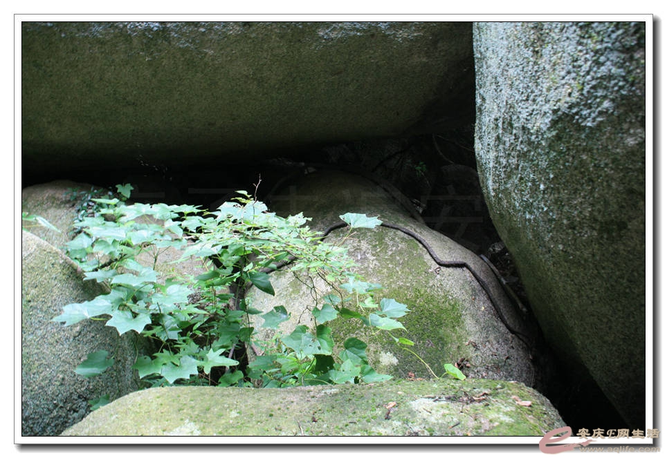 20150704 055.jpg