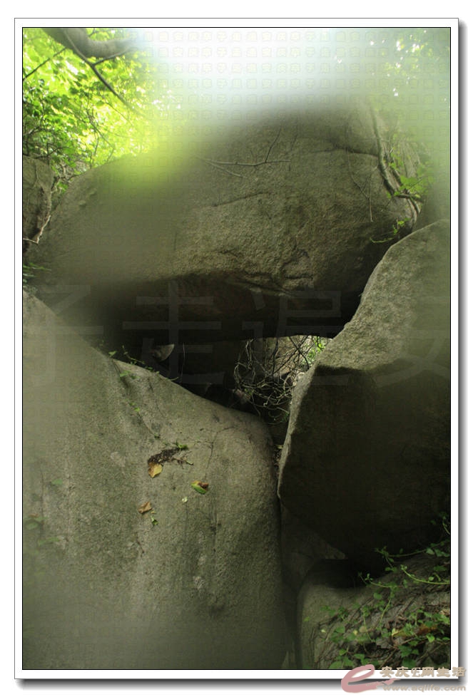 20150704 082.jpg