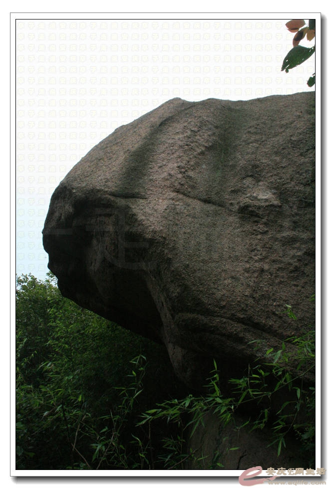 20150704 086.jpg