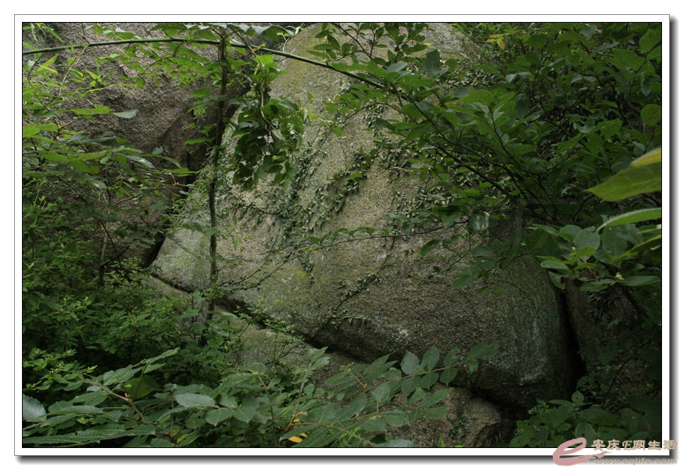 20150704 087.jpg