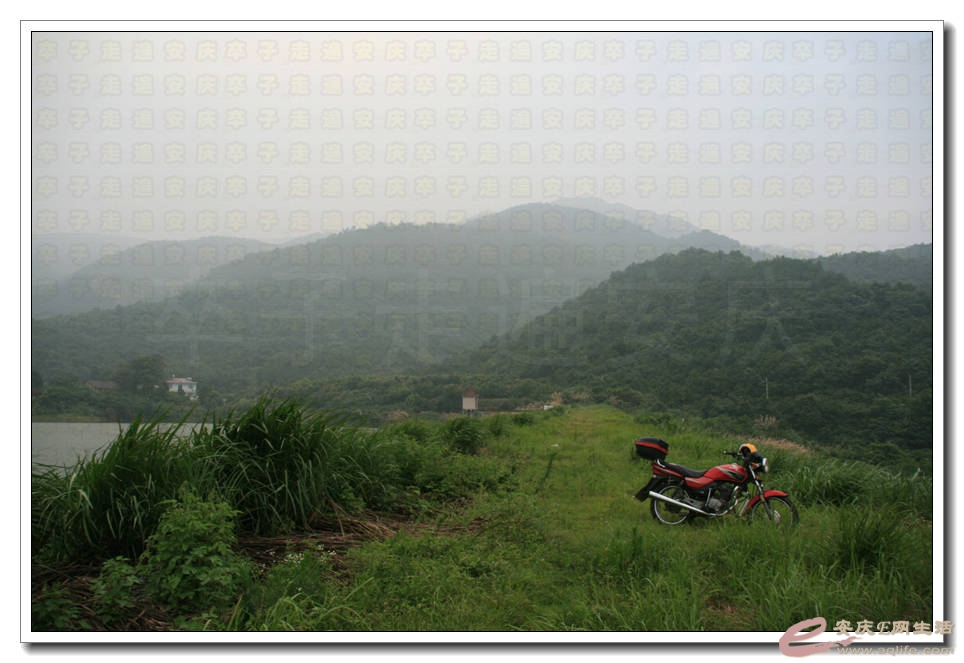 20150704 001.jpg