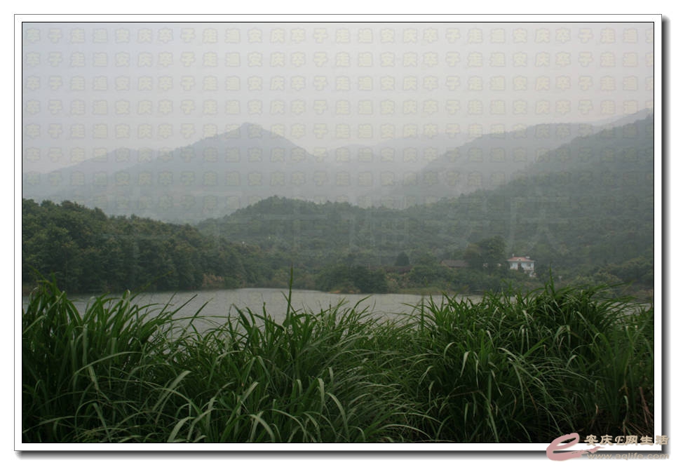 20150704 003.jpg