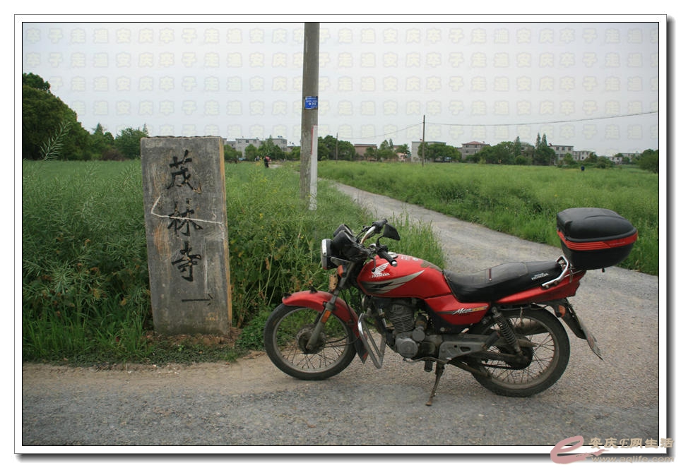 20150418 406.jpg