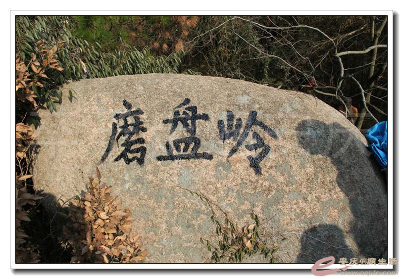 QQͼƬ20141229123429.jpg