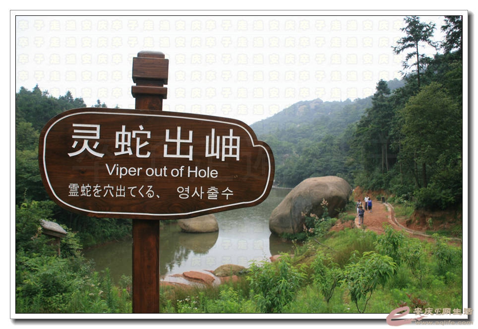 20150704 130.jpg