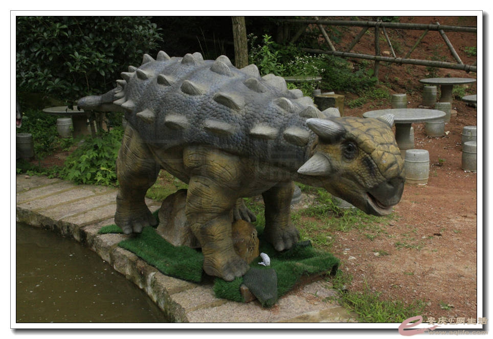 20150704 283.jpg