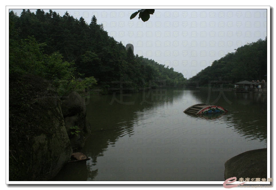 20150704 286.jpg