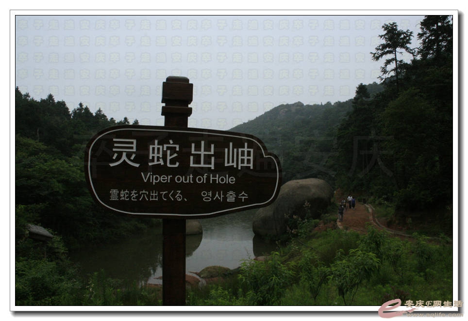 20150704 287.jpg