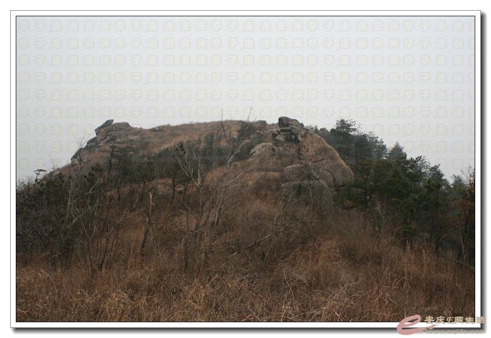 20150314 163.jpg