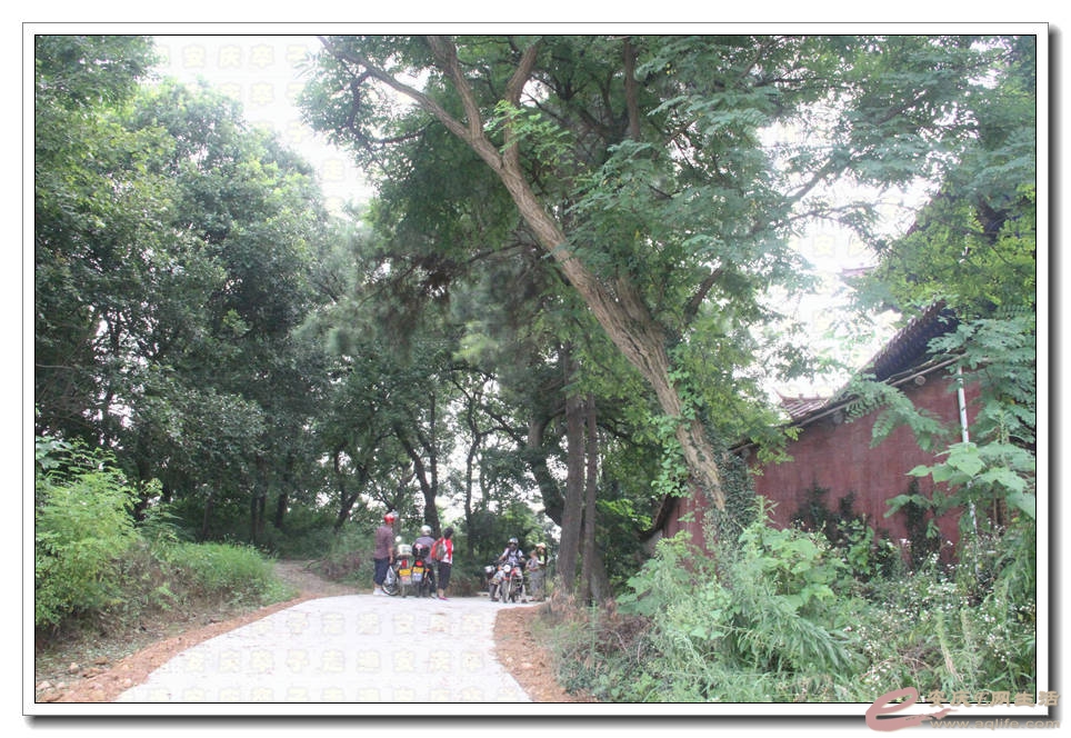 20150718 781.jpg