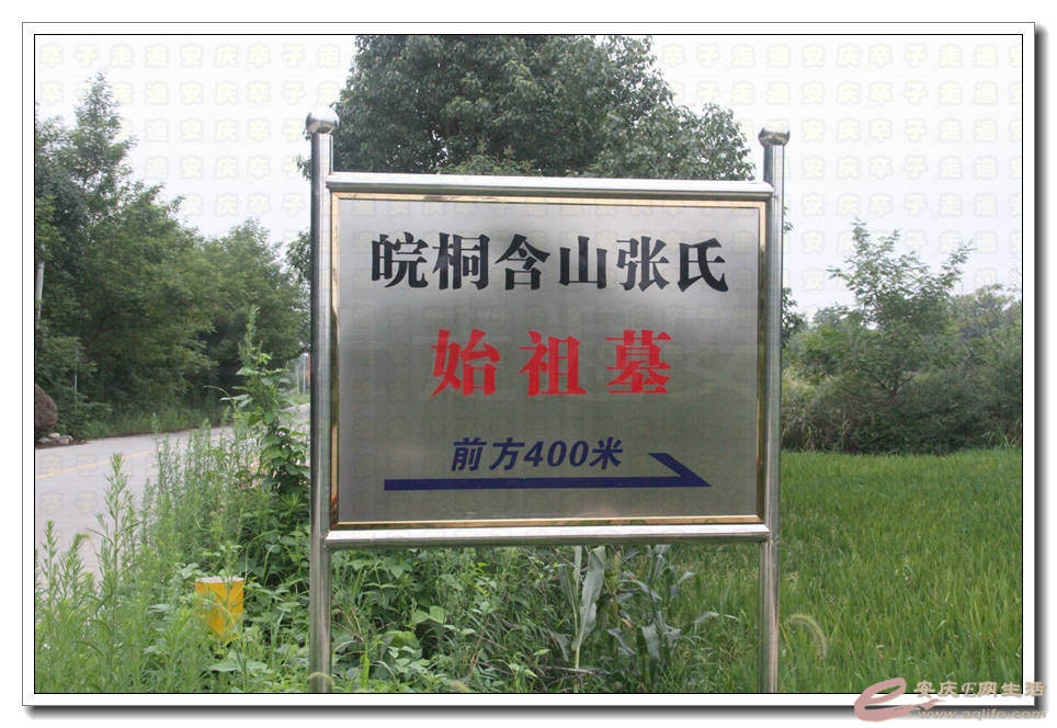 20150718 061.jpg
