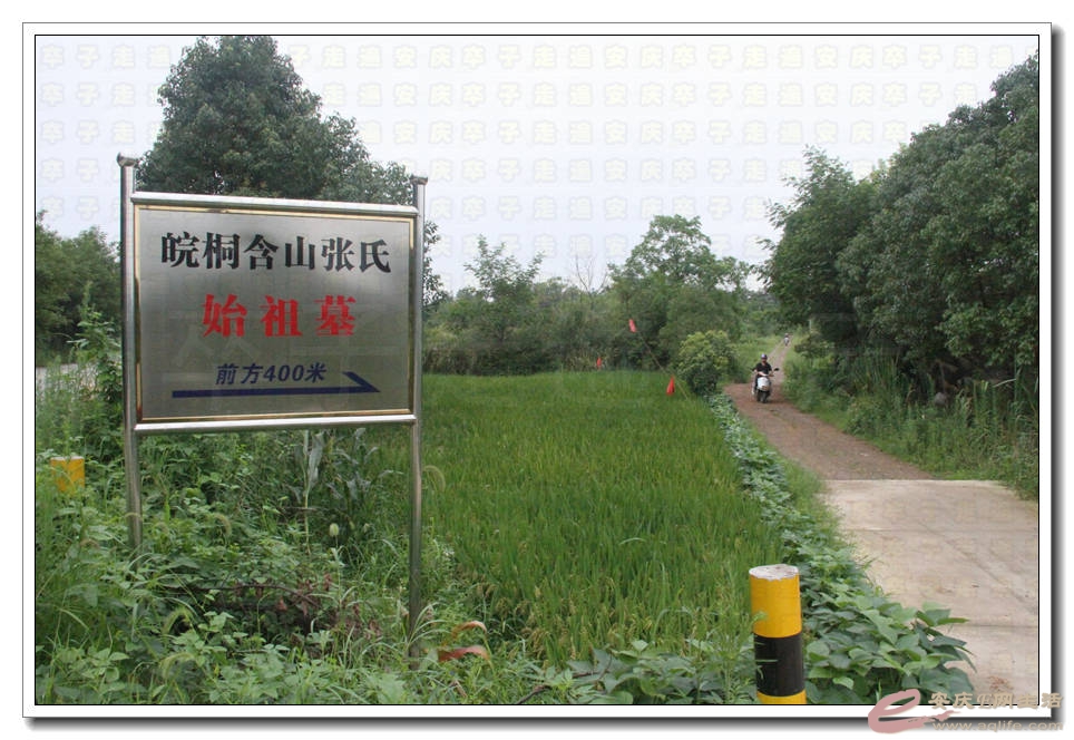 20150718 077.jpg