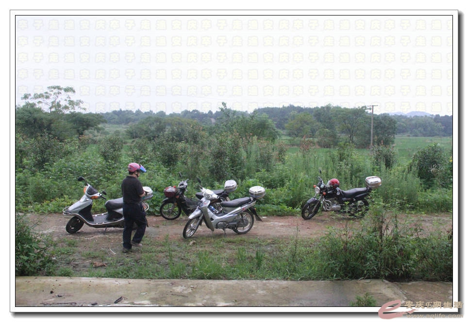 20150718 083.jpg