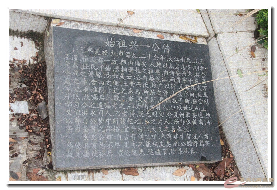 20150718 085.jpg