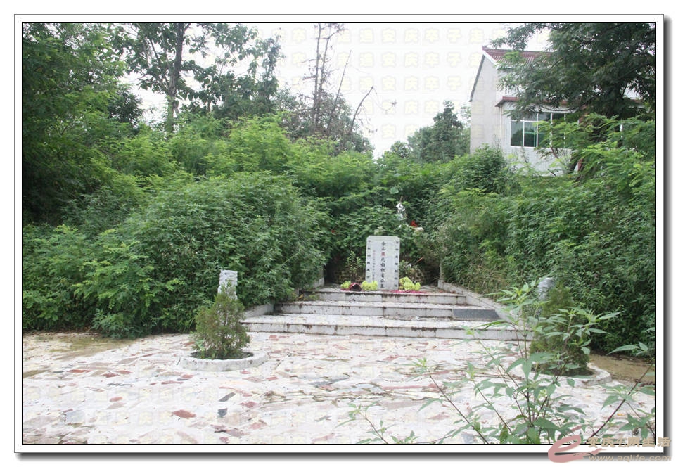 20150718 086.jpg