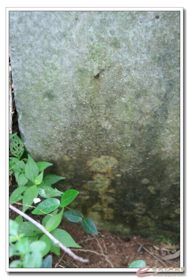 20150531 018.jpg